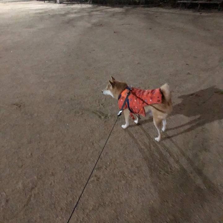 D59001ff 42d0 4ddf 948f 5bba57c677c8 1578530793804