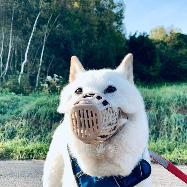 D5901ad2 036c 4e9c 84c1 e6587886e23b 1631744523459