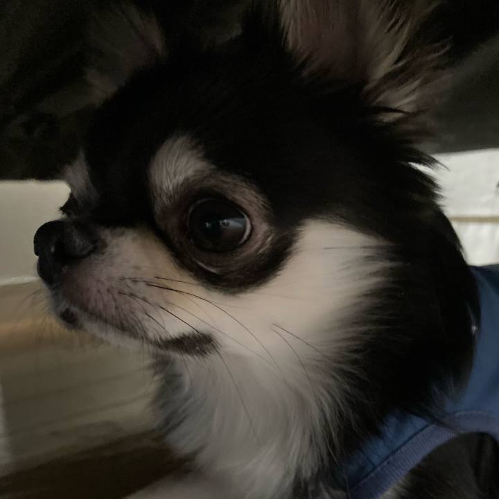 D590753c e726 46d1 b50d 3f3ea6c667e5 1619965284480