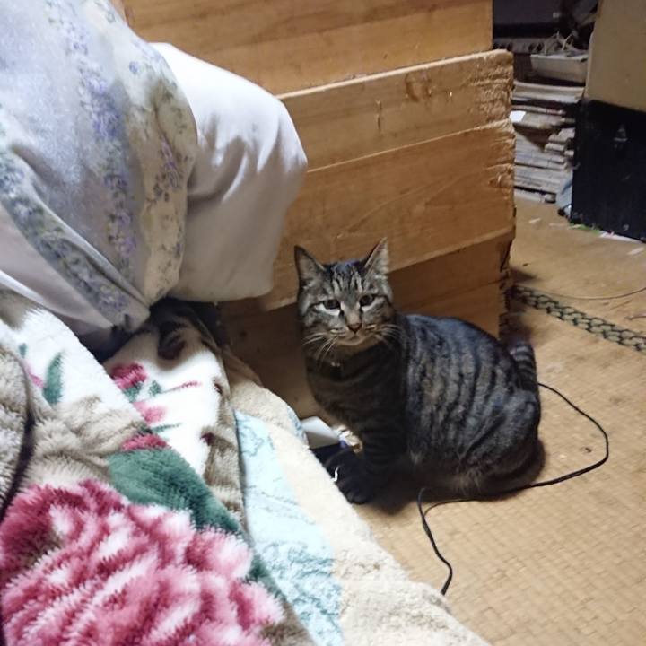 D590ba6a 60cb 4a12 a4f1 b0235eff371c 1643718630033