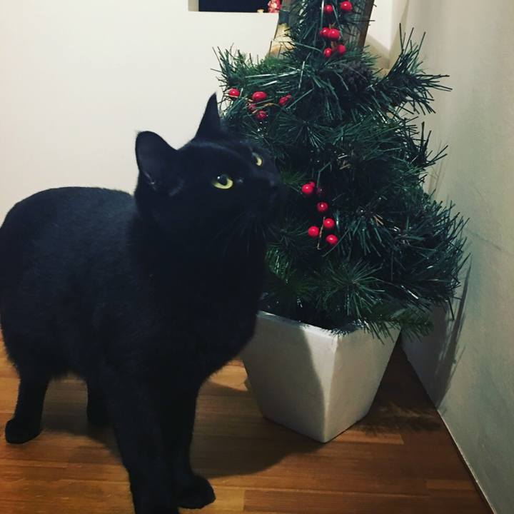 D590bbf6 7d28 48b2 8489 555f8734d22c 1545664263295