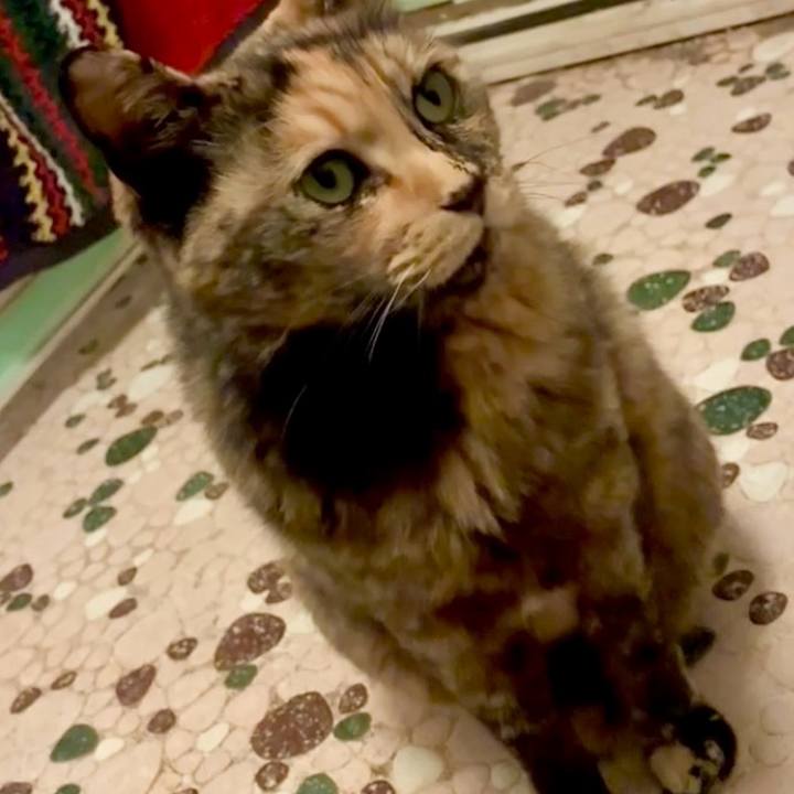 D590fb49 06a5 4689 b444 8498029c98b1 1745873038211