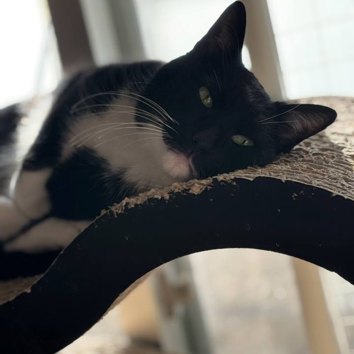 D590fba0 3a6a 410a 8fad f01d07a43710 1768354561420