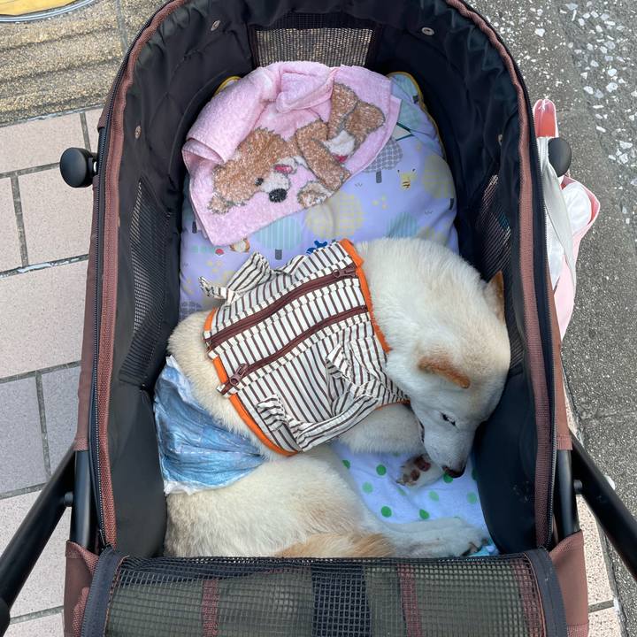 D590fce4 fef6 46f1 82bf 9fb5ff5f1405 1658670715406