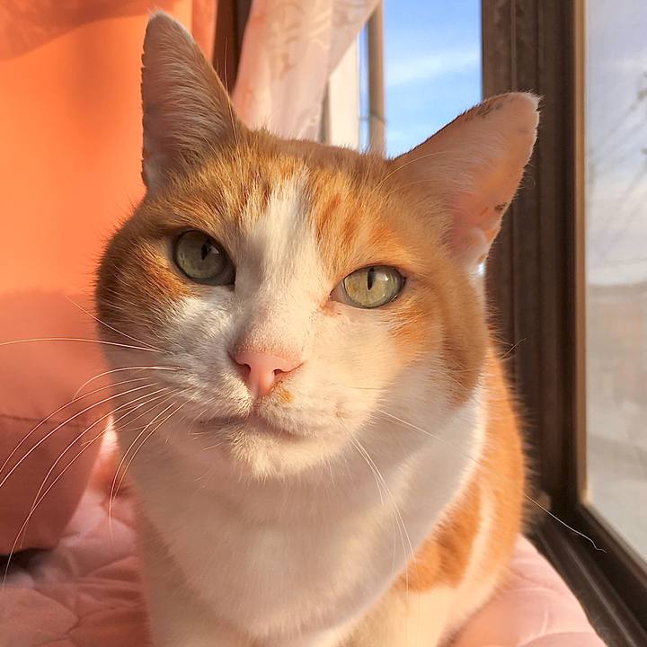 D590feb7 5328 4138 8352 19b4f41975c9 1582786766219