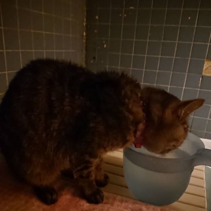 D59125cc a140 4cce abae cdc02ff81a47 1580981795510