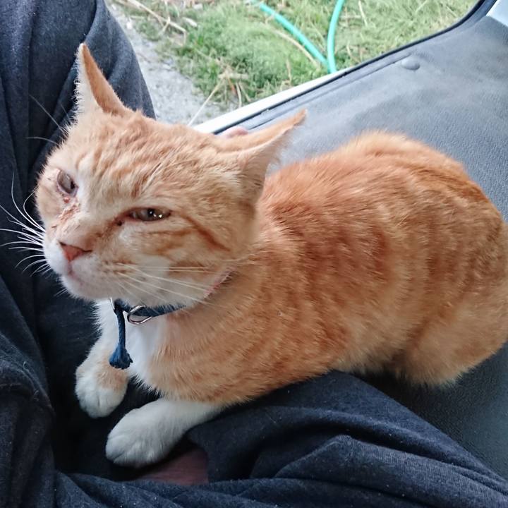 D5913c4a 3e60 485c 93c2 f5bf46fb641e 1558691874855