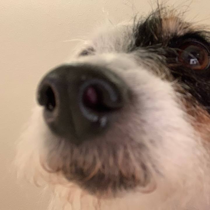 D5916b37 21ff 476f 8383 c562a041239f 1714220954769