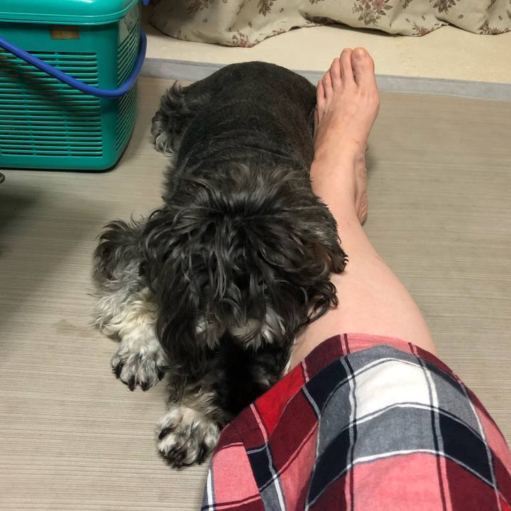 D5918818 d96c 445d 8a0a 8d8103ef9b54 1626186843800