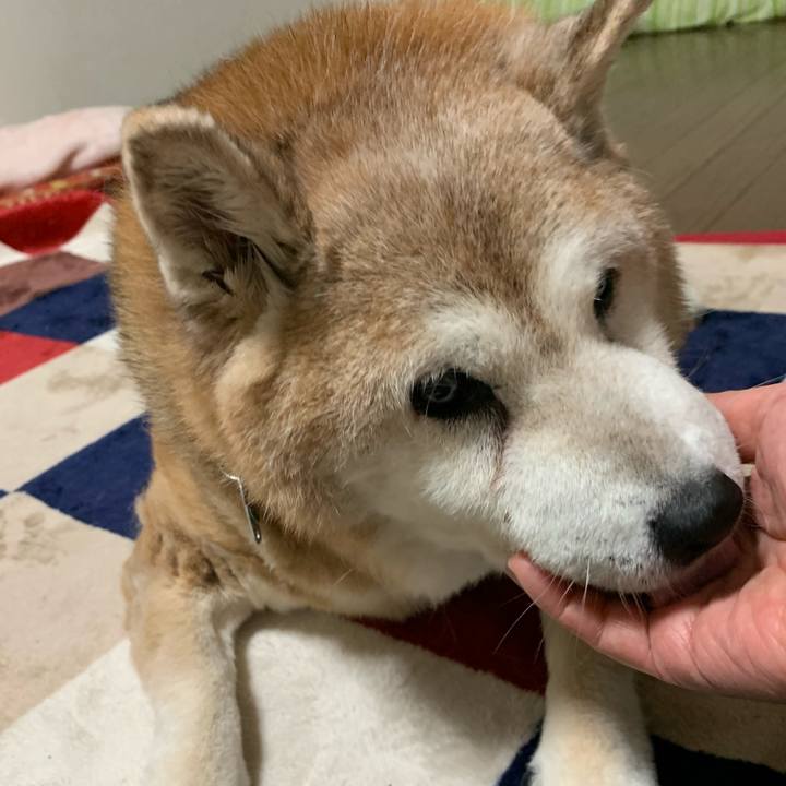 D5918d6d 1ca1 4465 b897 869b3039cecc 1631358987576