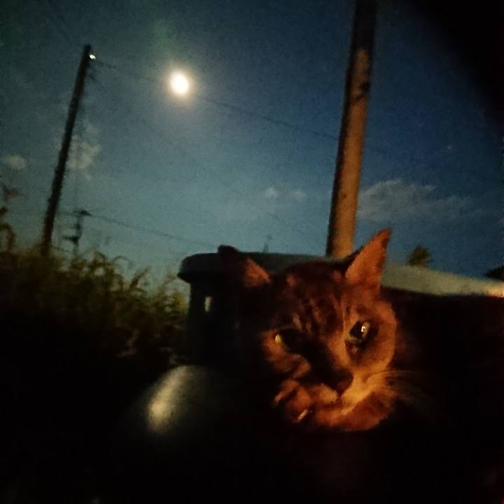 D591a059 291f 43a2 b12f 7ac58a7c20ed 1598611806183