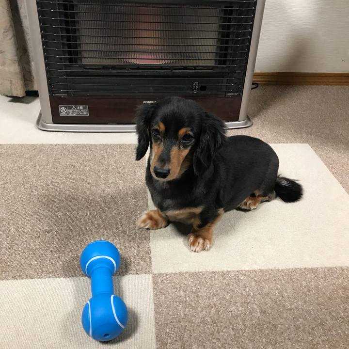 D591a2ef cf75 4cb8 9bd7 e3dc2661f5db 1508710997959