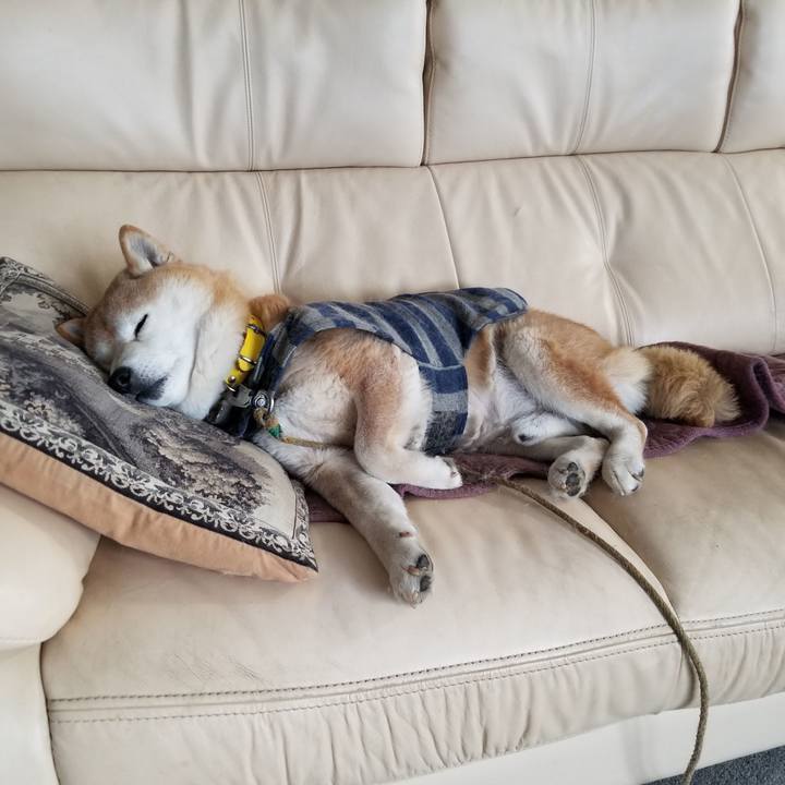 D591ac05 e1bb 41df acdf dc3e9a3ad4b1 1675812235413