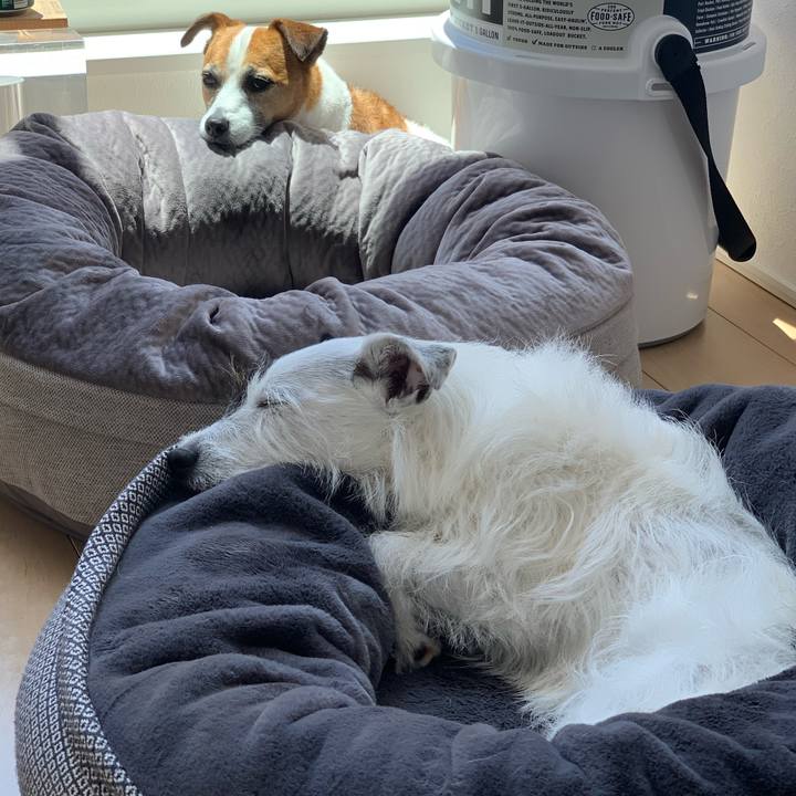 D591f5c9 1134 4023 a2e0 b8e18f8c0608 1590720506191