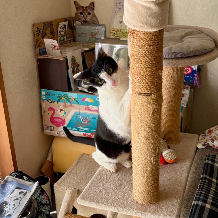 D5922fe5 f26a 49df a7cf 39425a318588 1762583321286