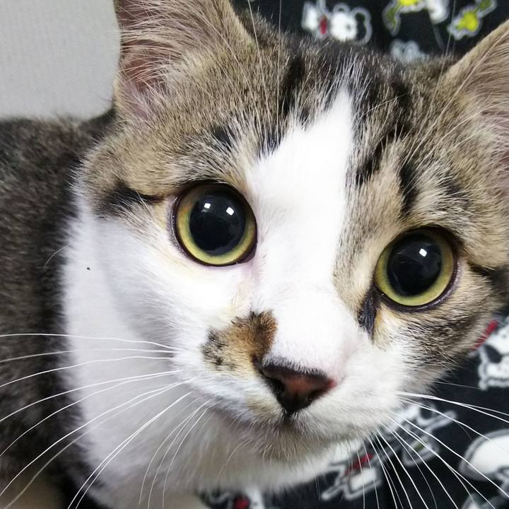 D5923560 5899 42b4 949d 37be3b4c42c7 1612563972256