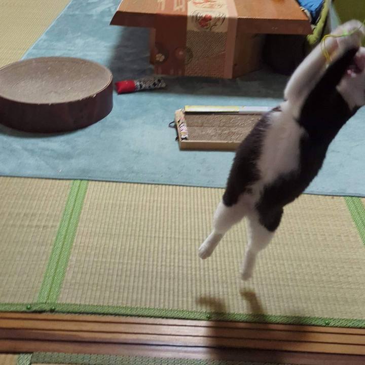 D5924fb0 f89b 475a 9ed3 27f73427a816 1749800927200