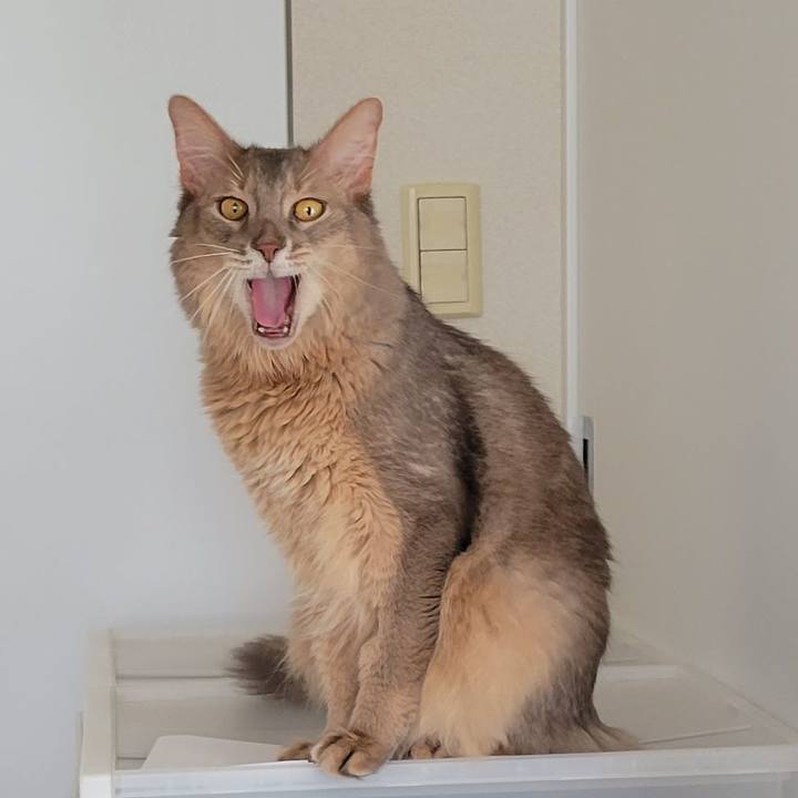 D592551a 48a5 42cf a3ec 2f87d08fcacc 1691391895064