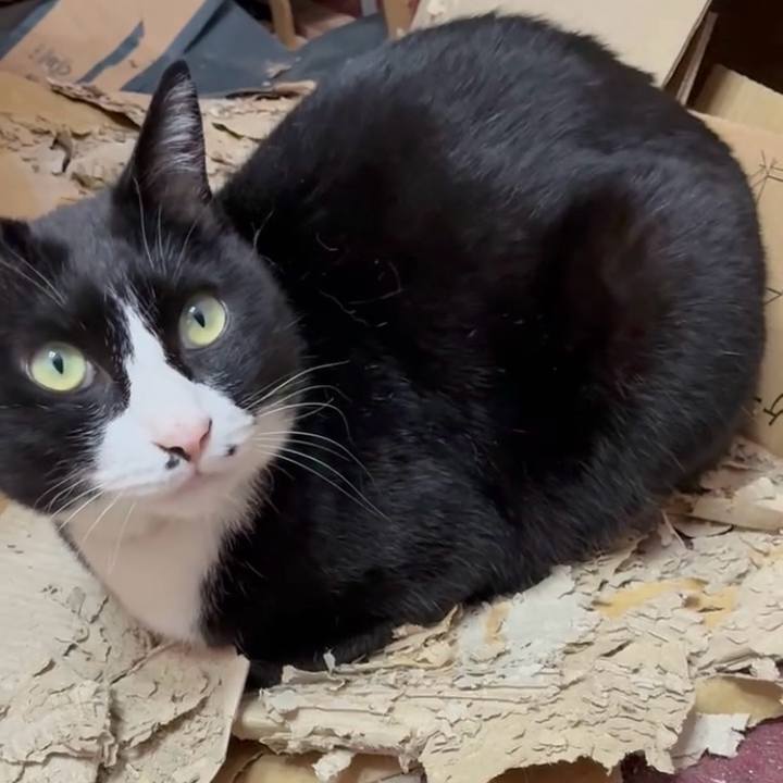 D5925909 cfbe 40d4 bd3d f8c4630478b5 1744167880457