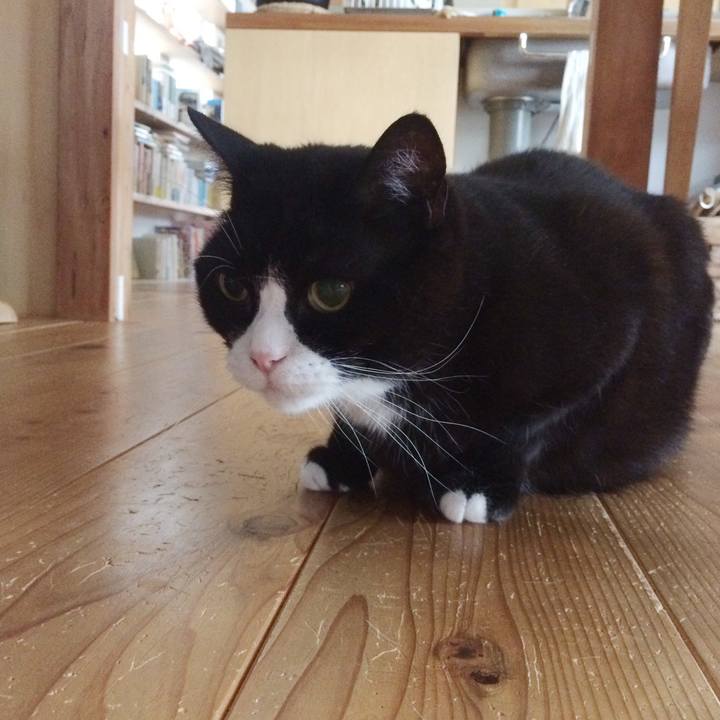 D5926b64 1450 439e b837 bb0a04878ebb 1529194037044