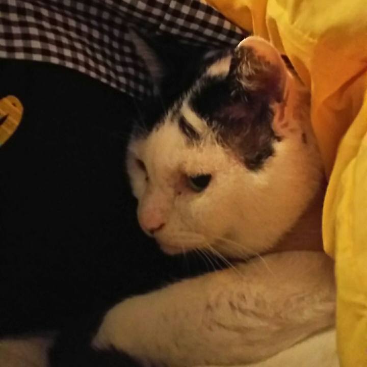 D5929461 ea41 420e 8c57 76675a1f576c 1534506111177