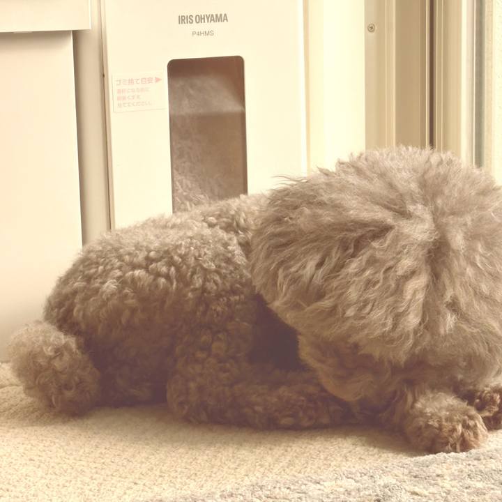 D592987f 0ac6 48b9 8c93 7d2ea8b241d4 1763782028295