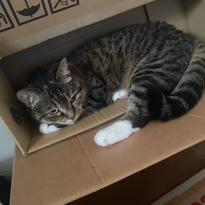 D5929bed de7f 441e beb9 a1963d476874 1721028253344