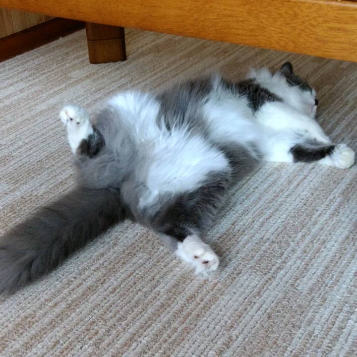 D592c2fa e8c9 4827 9667 cda7e6557987 1599518047012