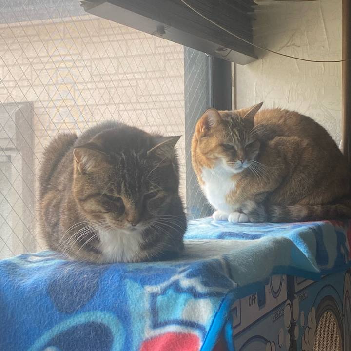 D592e0d7 177c 4271 aacc ce87be477c20 1742452924961