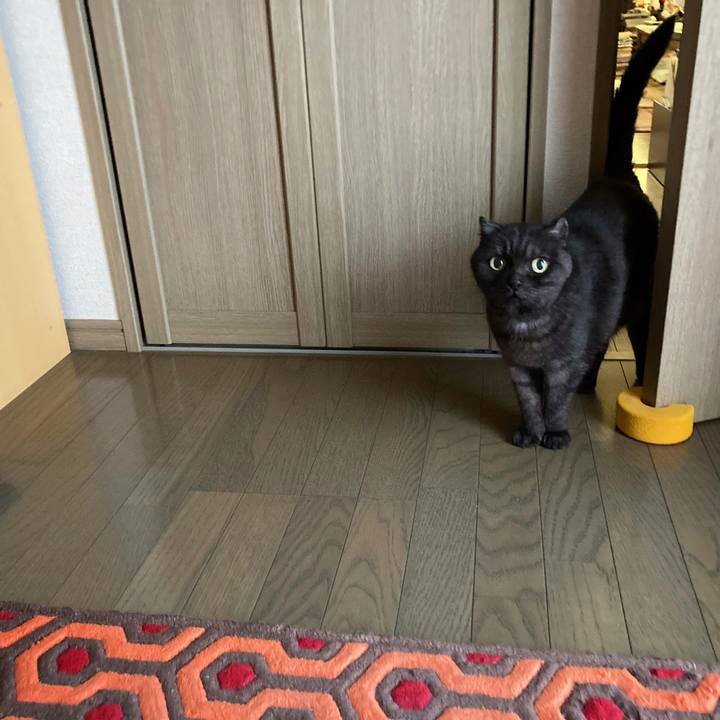 D593078f df2f 45e4 825c 61d97ae32ec3 1594605511777