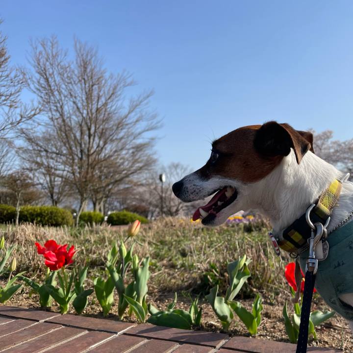 D5930d59 6535 4b7f adb8 59717a9ebae8 1649761757379