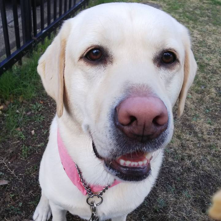 D5935f25 c044 409f b2d7 b8e8bac75ea7 1552008991963