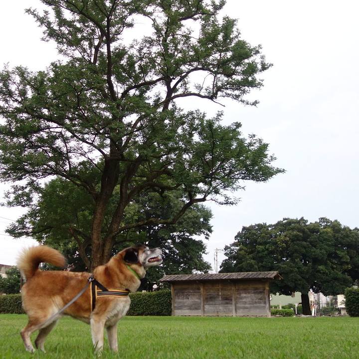 D59381f9 2529 4b97 9824 4d27dc0ee7dc 1564319046644