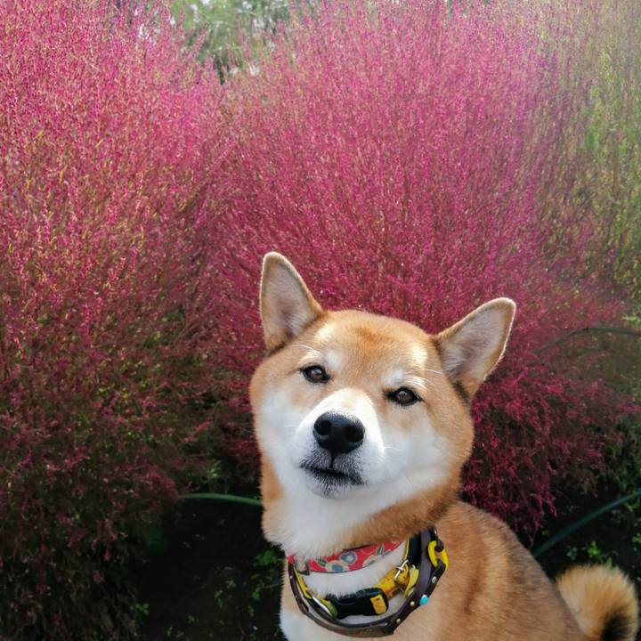 D593a67e 63e6 4293 8338 e92eb62aa67f 1603151623409