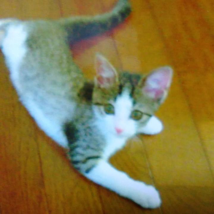 D593b98e e11c 4917 b7aa 7fd82099444b 1557057938120