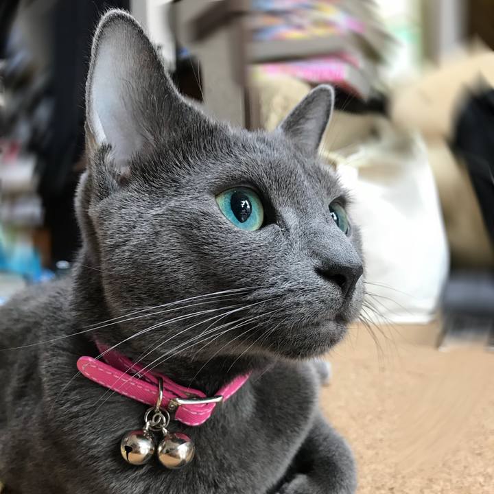 D59428e5 3513 4bc6 a4a8 e82caf90156d 1528325799146