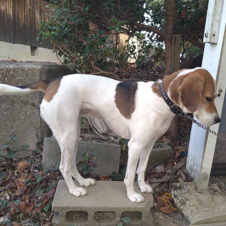 D5945dcb 6718 4ec1 a795 fa1191fc40ed 1634357402021