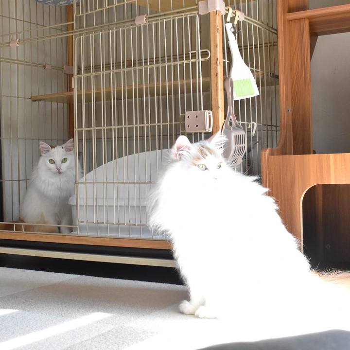 D5949965 7d1d 44f2 a5f2 2986003dbd72 1763174565987