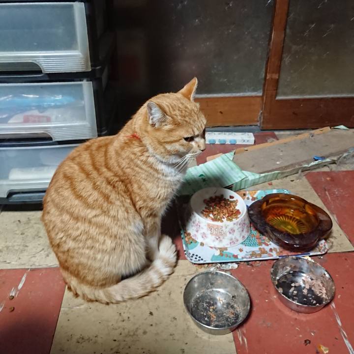 D594ba87 2009 46f4 86aa b850ac72f91c 1579813422081