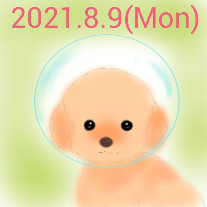 D594c6c9 6416 486d 9c6d ecd35403c7d0 1628508243803