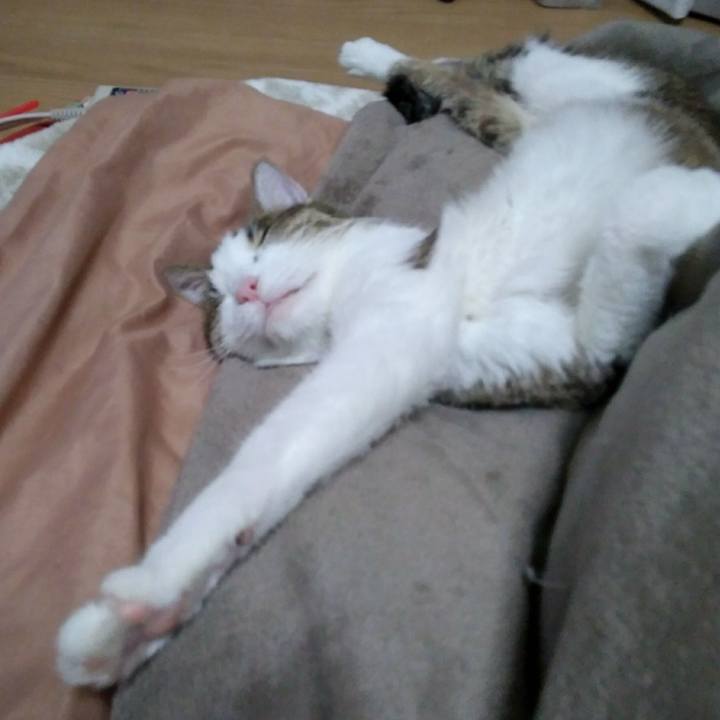 D594eea1 3d29 4c12 b1b0 b2716fdcdf26 1548854642975