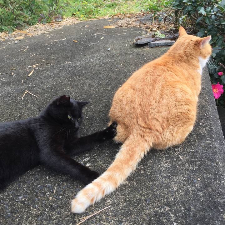 D594fd5e 984e 4d20 bedd 701e2fdaa334 1574582779195