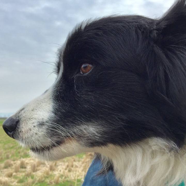 D5953d51 8d59 4288 ada1 3111b77bd476 1579219445066