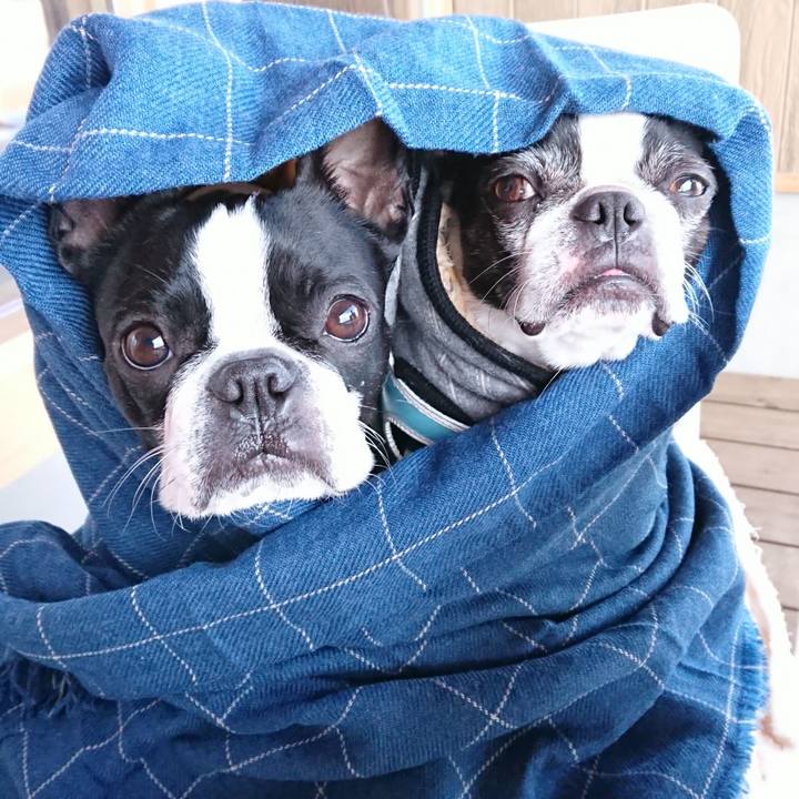 D5957b63 98a2 435e 98e6 4515ef156b0e 1518954846780