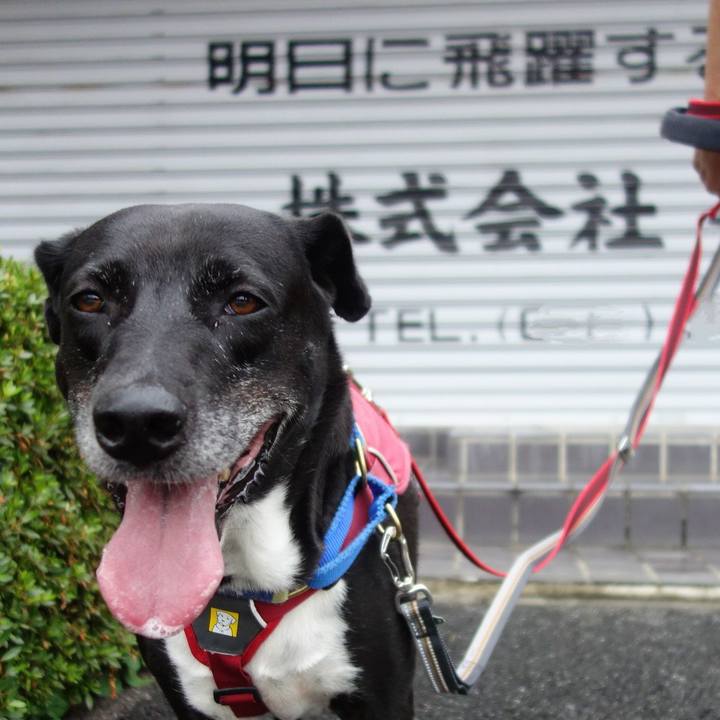 D5959aed 2f01 4d77 a451 6c3da80e9810 1688778542383