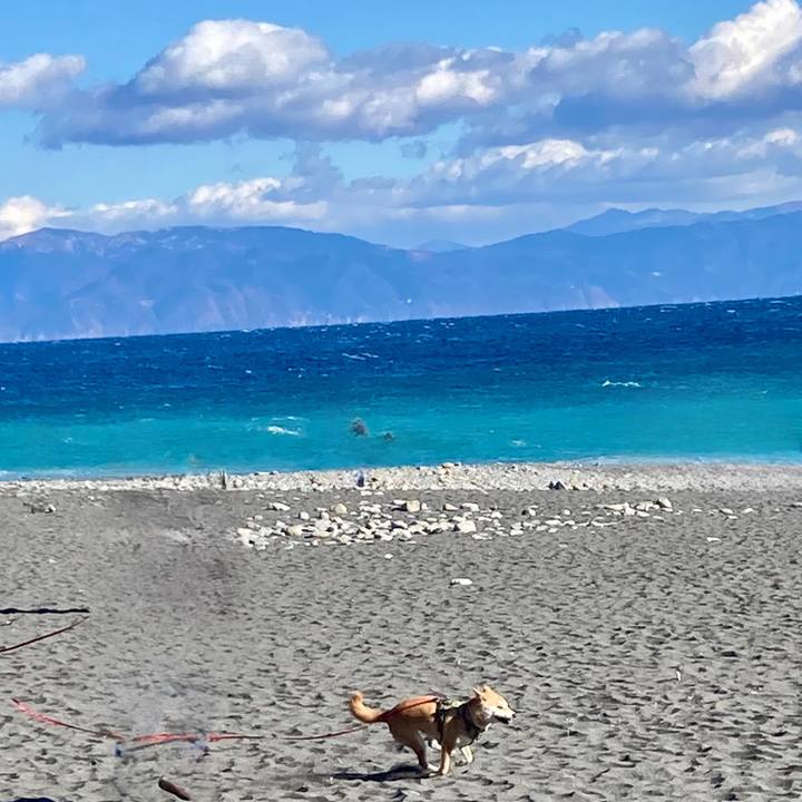 D595ba54 32c8 416b 9126 99df55d2c2e0 1674955711213