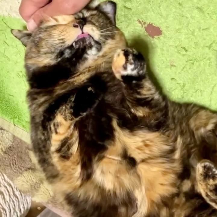 D5960f26 9e9e 4fff 9989 4a451eb42f41 1739188733986