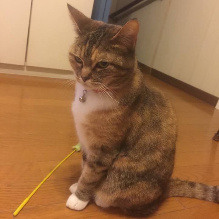 D59661a5 0ef0 4882 8c85 b2d231498f4a 1556021622123