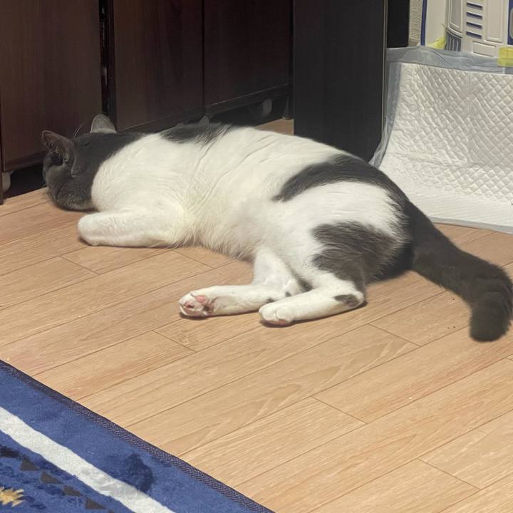 D5967756 d638 4e89 8184 ea5dd2b2c1c5 1630921833389