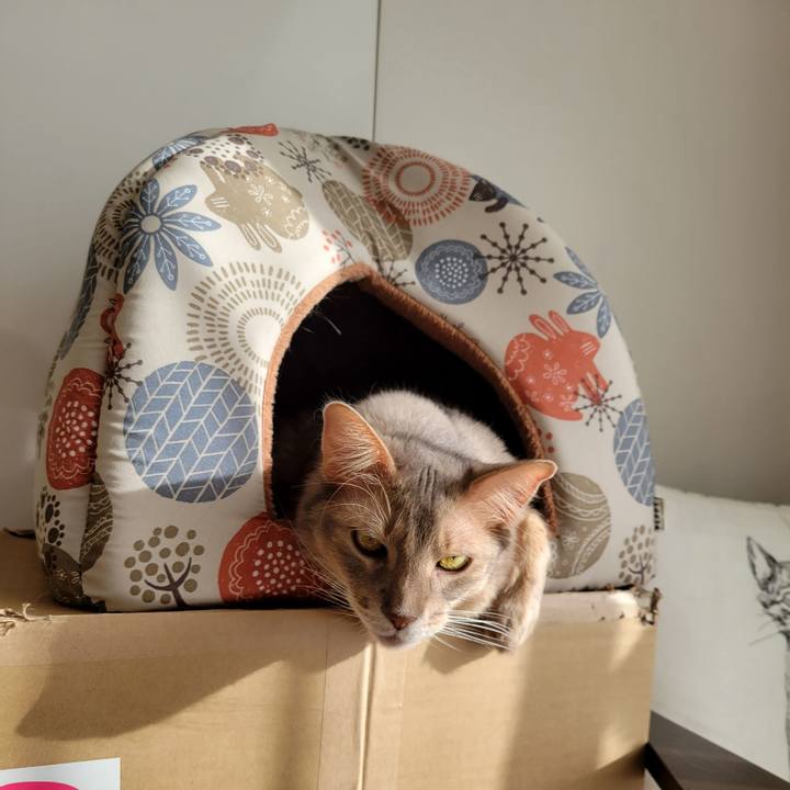 D5968fd7 92d7 4f9a 8f2f da1cbf70535e 1642317637621